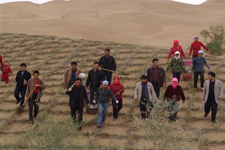 Decoding China's green miracle