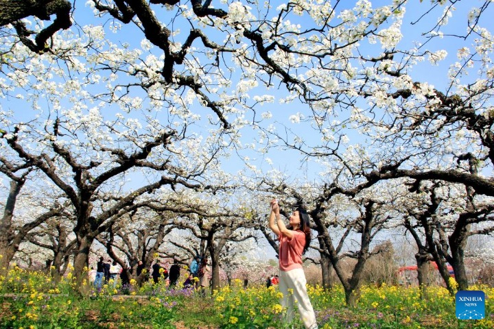 Tourism hit by worsening epidemic