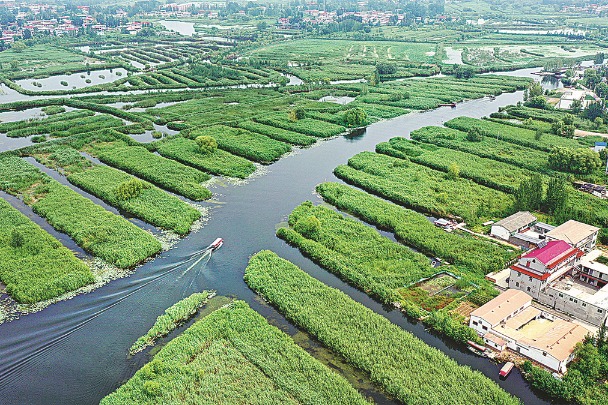 Lake cleanup embodies ongoing protection efforts