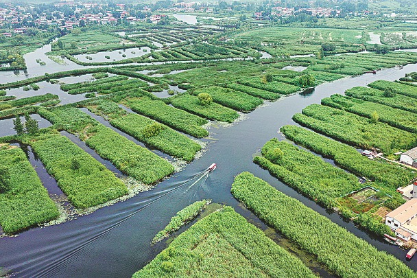 China meets 8 environmental targets