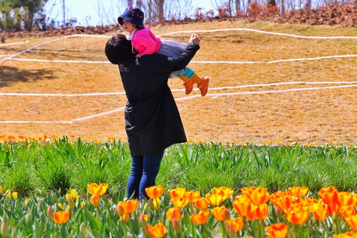 Tourists enjoy flowers at Beijing Expo Park