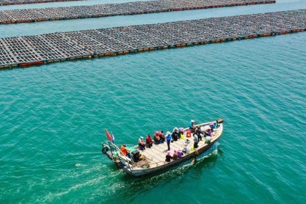 China's marine economy logs steady growth in 2021