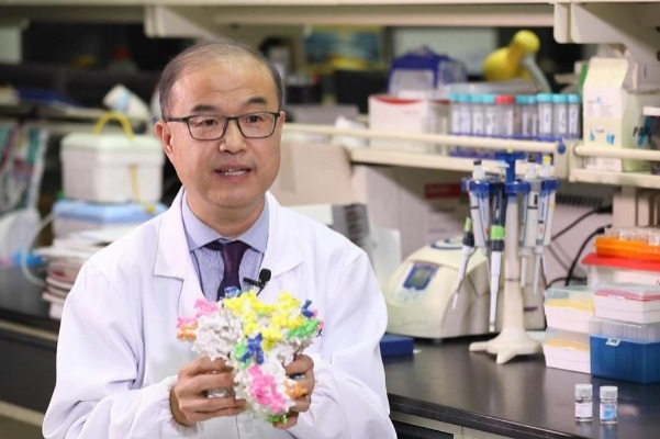 Dedication, team work boost China's COVID-19 research