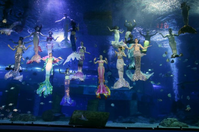 Underwater shows planned for Guangzhou during holiday