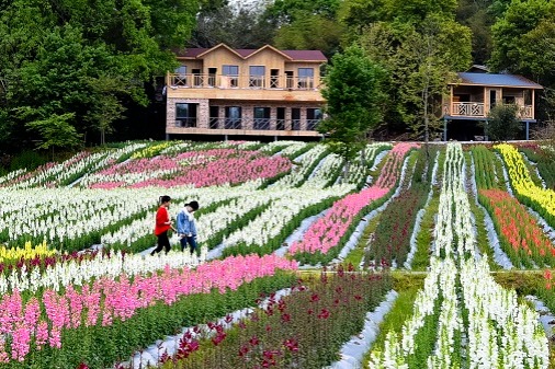 Snacks, ecotourism put Fujian village on track to prosperity