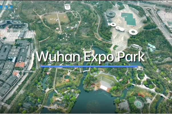 Wuhan Expo Park: From waste dump to quiet garden