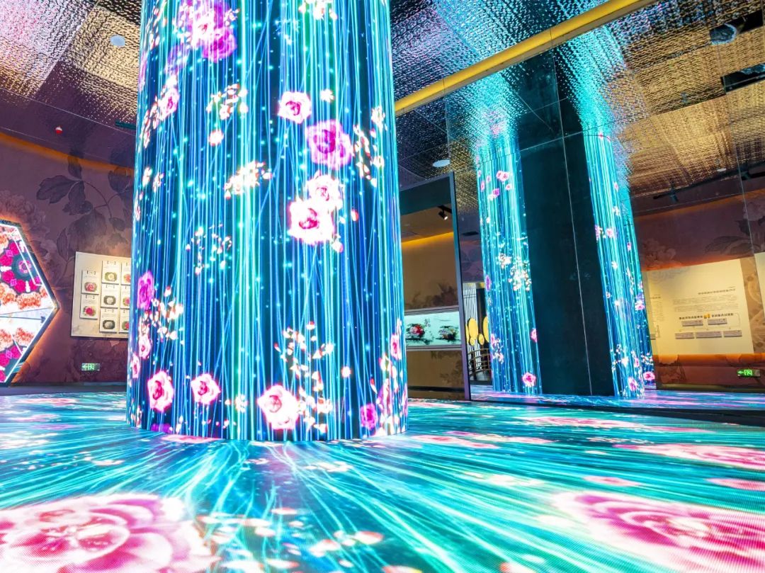 Henan museum features peony culture via interactive exhibit
