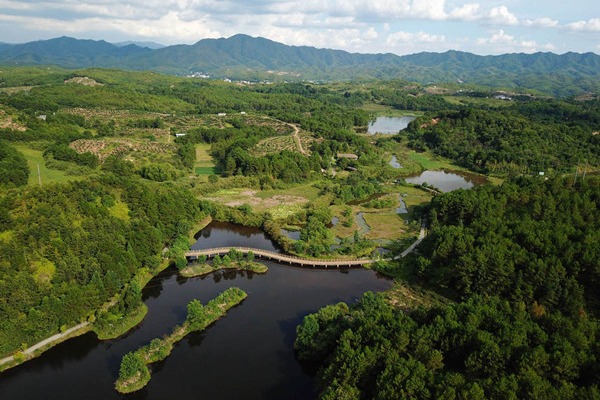 Top legislator stresses rule of law for protecting wetlands