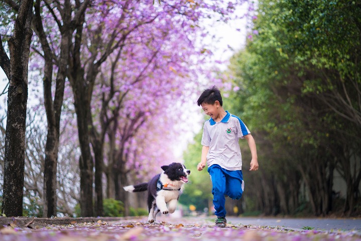 Photographer captures Guangzhou