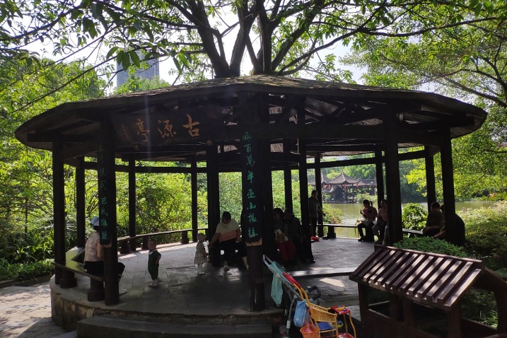 Chongqing park has pavilion carved from big tree