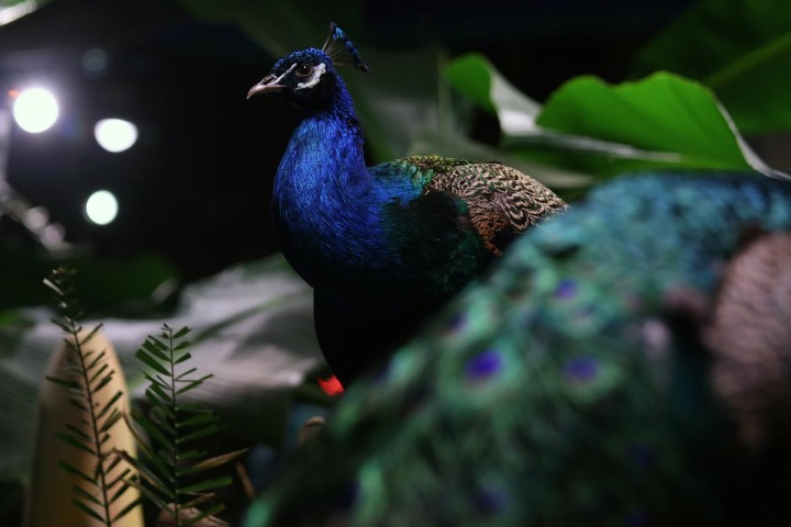 Baby animals come out to say hello