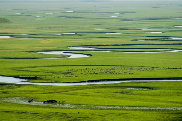 Hulunbuir aims for integrated cultural, tourism development