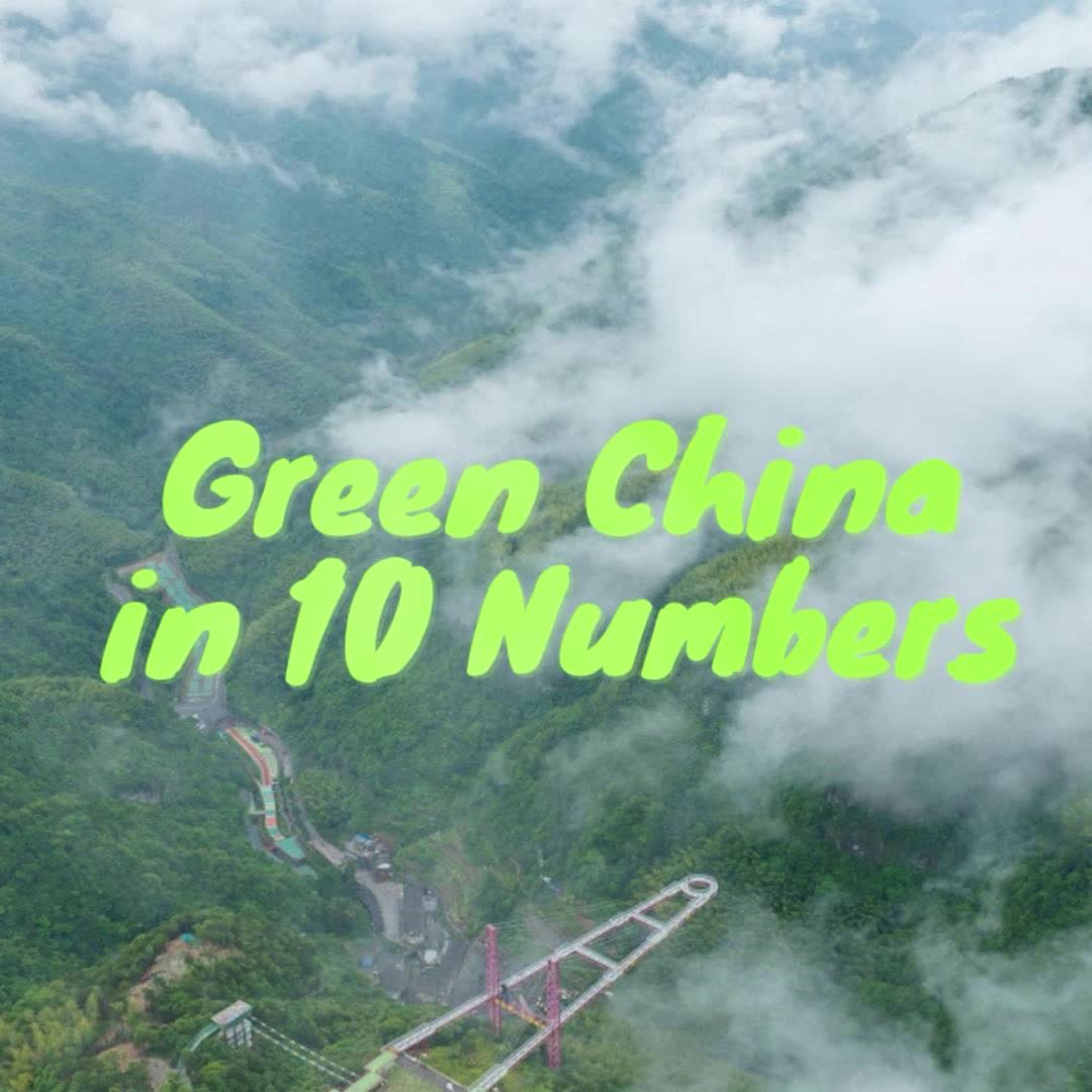Green China in 10 numbers