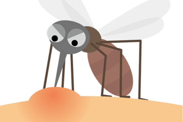 Tips on repelling mosquitoes in summer