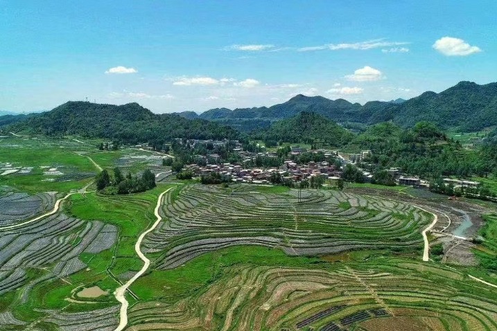 Terraces glow on a summer morning