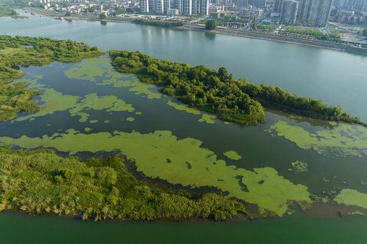 Wetland park boasts fresh air, picturesque views