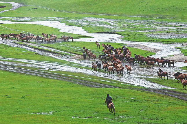 Grassland heritage sees new horizons