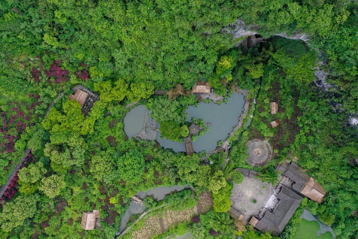 Top court issues guidance on handling of forest-related disputes