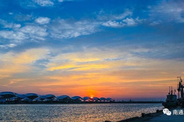 Go to Lyusi fishing port to taste freshest seafood