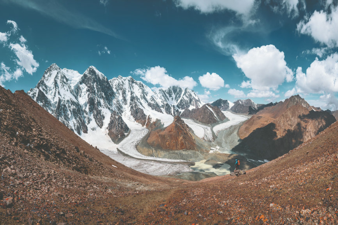 Land of the rising swan