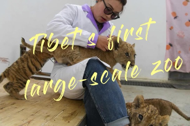 Discover Tibet: The first large-scale zoo