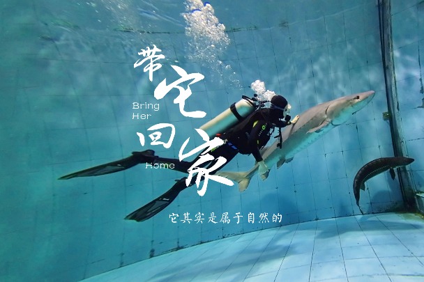 Looking forward to the return of a fish originating from 140 mln years ago