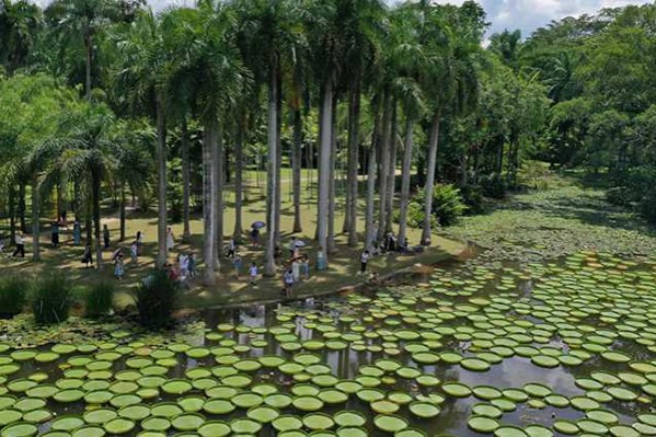 Visitors enticed by free access to top attractions