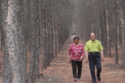 Tree-planters turn barren mountains green