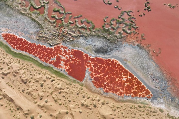 Lake -- The color of blood