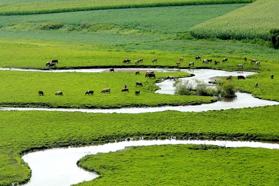 Hulunbuir boasts picturesque autumn greenery