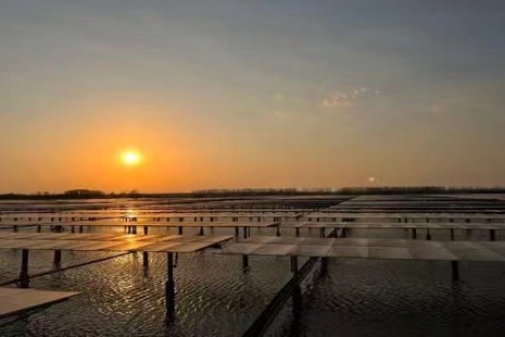 Integration accelerated for Yangtze River Delta with raft of fresh moves