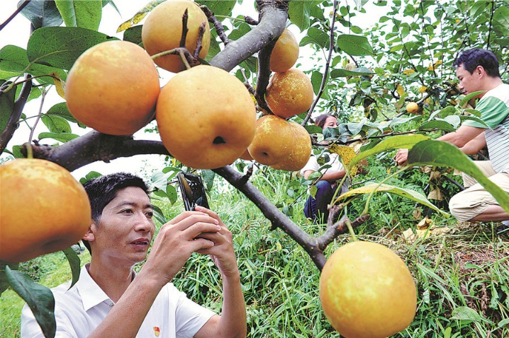 E-commerce patterns boost consumption