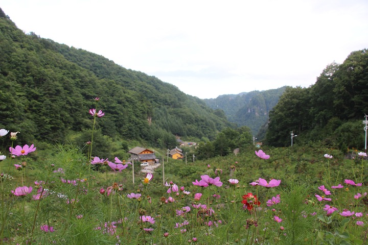 Visit Peach Valley to escape the summer heat