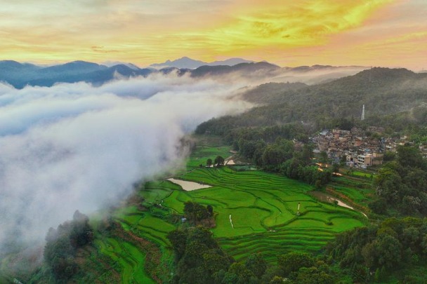 Yunnan rice fields evoke pastoral beauty
