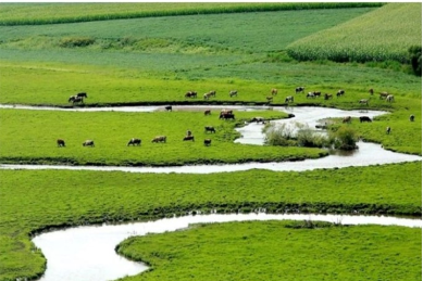 Inner Mongolia launches Facebook page to highlight a green vision