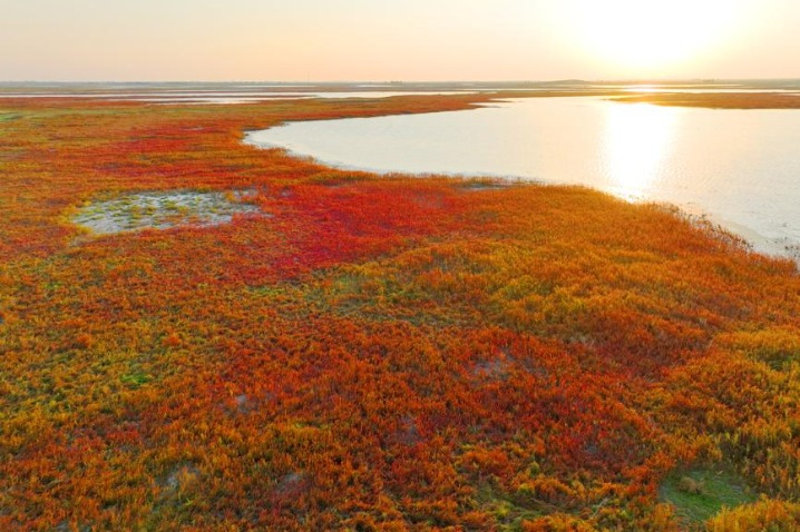 Color appears in wetlands of nature reserve