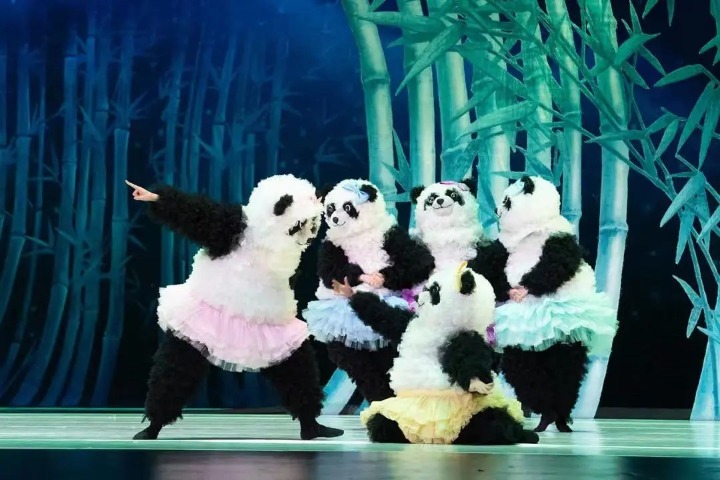 Dancing pandas to entertain audiences in Chongqing
