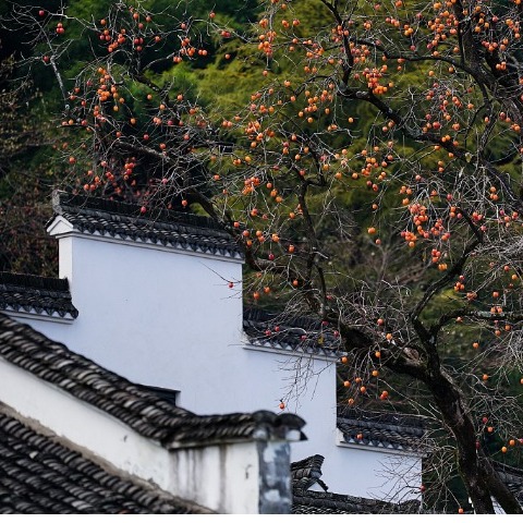 Shilin village, Zhejiang province