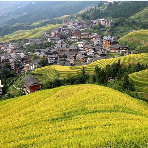 Longji Ancient Zhuang Village Complex, Guangxi Zhuang autonomous region