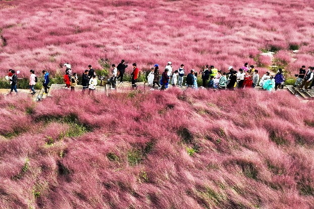 Tourists ride holiday high with short trips