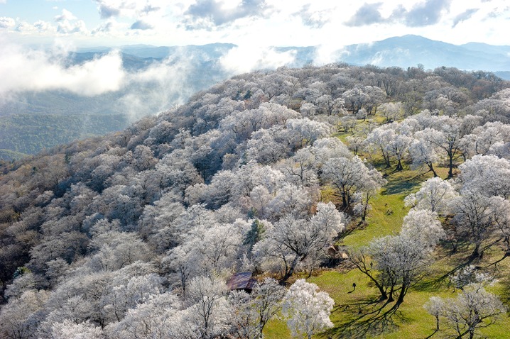 Soft rime appears in Jilin