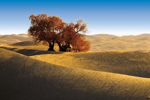 Amazing China in 60 Seconds: Xinjiang