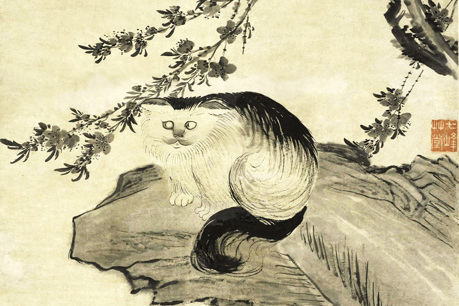 Qing Dynasty artist paints portrait of his pet cat