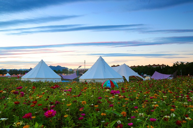 Camping becomes burgeoning trend in China