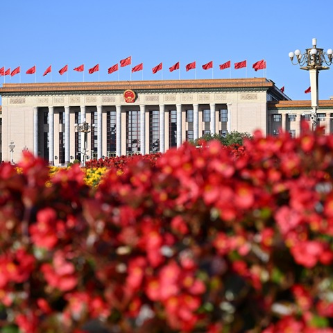 Foreign experts hail Xi's congress report