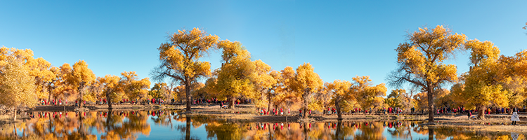 ALSHAA,  INNER MONGOLIA