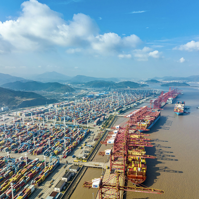 World experts and journalists better understand China and CPC through congress