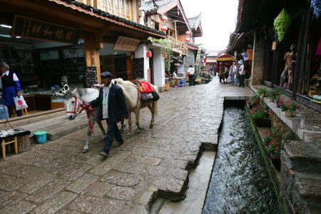 Nanping Pedestrian Street