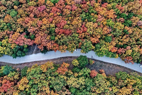 Autumn leaves attract tourists in North China