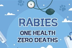 Rabies: One Health, Zero Deaths
